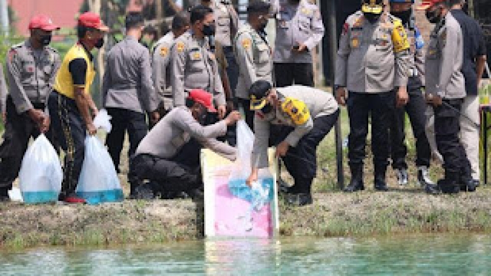 Kapolda Sumut, Menaburkan Ribuan Benih Ikan di Kolam Laju SPN Hinai