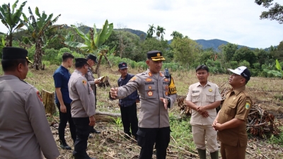 Polres Pakpak Bharat Bersama Stackholder Lakukan Peninjauan Lahan Ketahanan Pangan Di Tanami Jagung Dengan Sistem Tumpang Sari