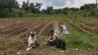 Bhabinkamtibmas Polsek Stabat Dukung Petani Lokal, Sambangi Lahan Pertanian di Desa Pantai Gemi