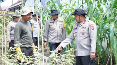 Kapolda Sumut Whisnu, Wujudkan Program Prioritas Presiden, Tinjau Ketahanan Pangen