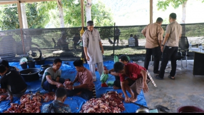 Ketaqwaan dan Keimanan Hari Raya Idul Adha 1447 H/2026 M, Polres Pakpak Bharat Sembelih 2 Ekor Sapi dan 2 Ekor Kambing