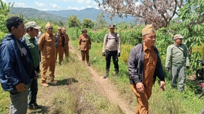 Ditemukan Jejak Kaki Harimau. Polres Pakpak Bharat. BKSDA, Pihak Kecamatan dan Pemdes Kota Saga Cek Lokasi